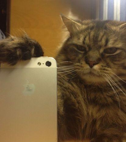 mirror selfie