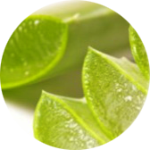 Peripera Peri's Ink Remover