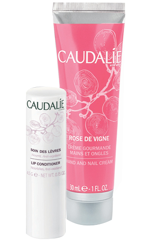 Winter Duo Rose des Vignes Winter Duo Rose des Vignes
