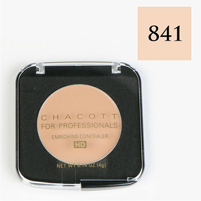 Enriching Concealer - 841