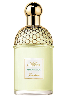 Guerlain Aqua Allegoria Herba Fresca EDT