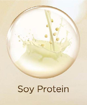 Soy Protein