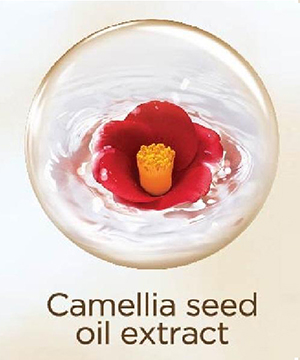 Camellia seed oil extract 