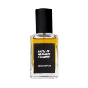 รีวิว LUSH The Smell of Weather Turning Perfume รีวิวจากผู้ใช้จริง