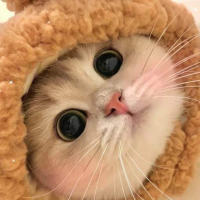 Jaloy's profile picture