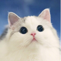 Angel's profile picture