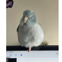 Dearnktc's profile picture