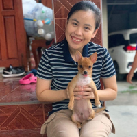 Umpiga_Miffy's profile picture