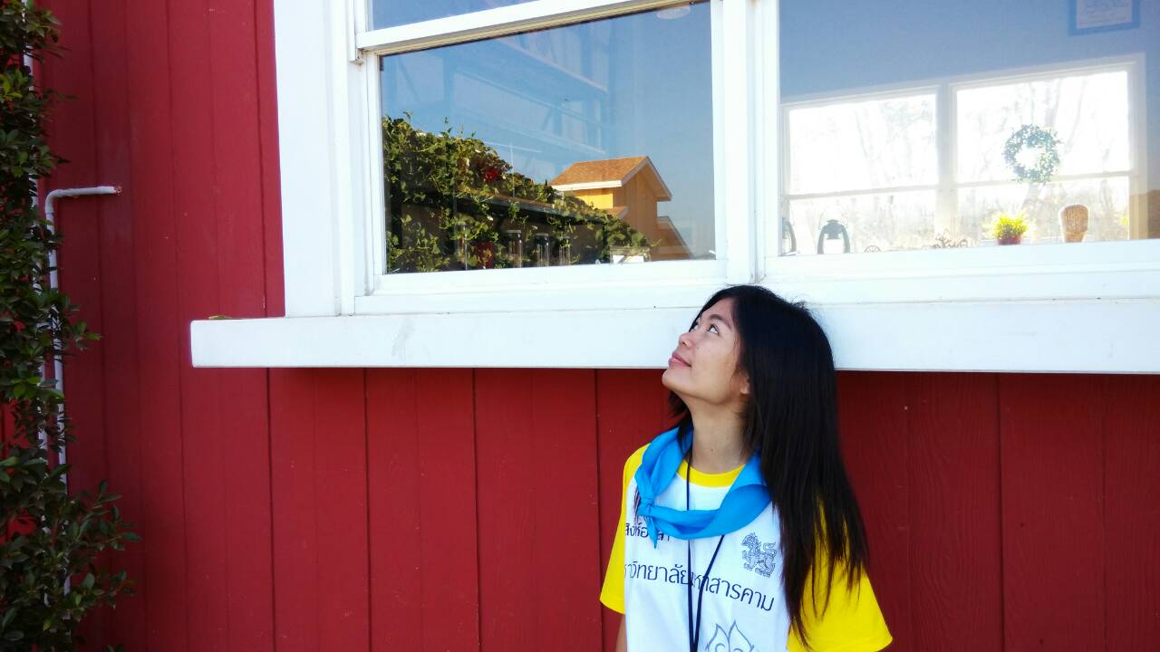 nut_chadeeda's profile picture