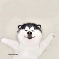 ๋Jintaejk's profile picture