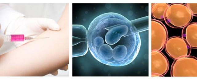 fresh cell therapy fresh cell therapy