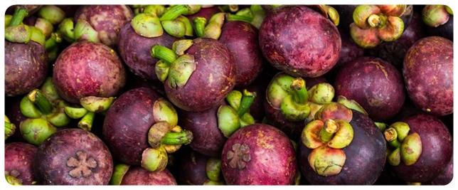 mangosteen queen of fruit