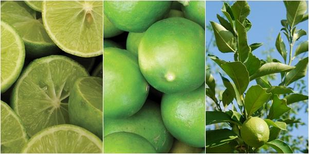 benefits of lime