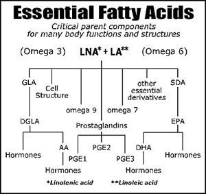 EFAs EFAs