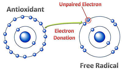 antioxidant1.jpg