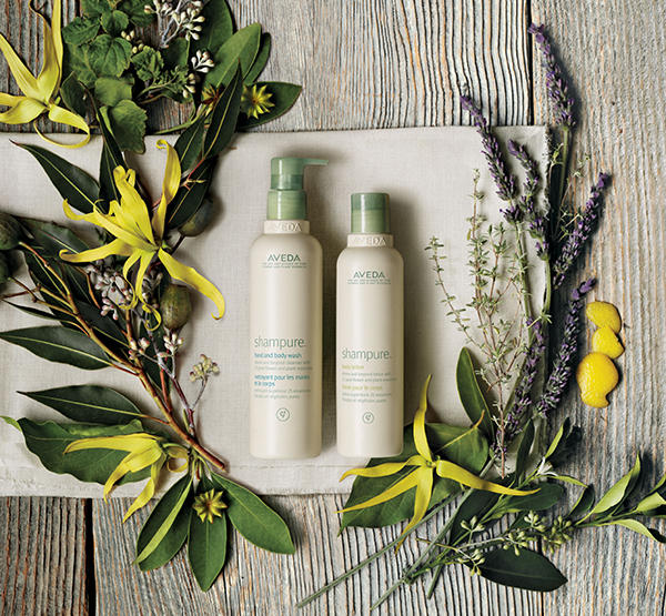 Shampure-hand-and-body-visual-01.jpg