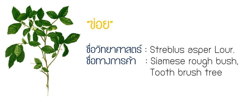 ข่อย