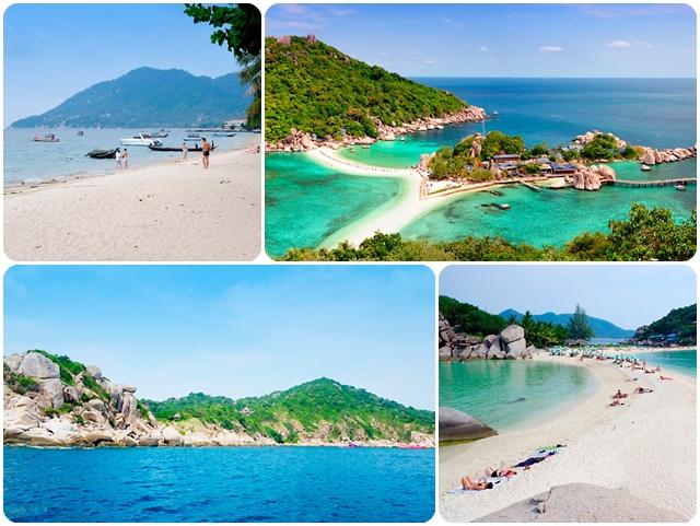 เกาะเต่าและเกาะนางยวน