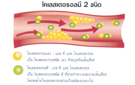 สำรวจ 9 อาการ อันตรายก่อนออกกำลังกาย 