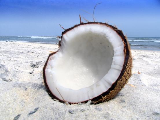 CoconutonBeach.jpg
