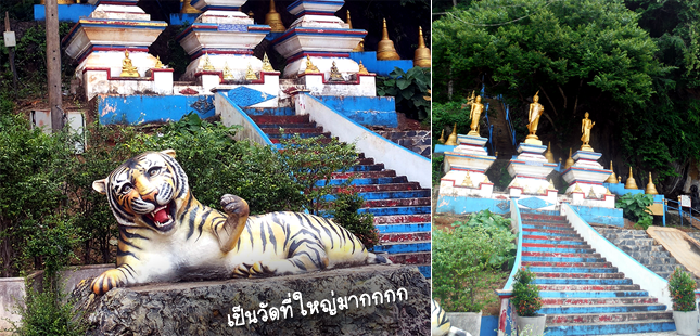 วัดถ้ำเสือ