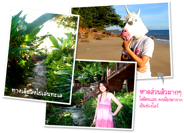 ทะเลใต้