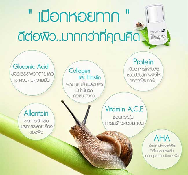 ครีมหอยทาก B-Blanc Snail Recovery Cream