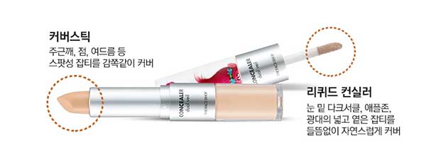 คอนซีลเลอร์ THEFACESHOP Concealer Dual Veil (Troll) คอนซีลเลอร์ THEFACESHOP Concealer Dual Veil (Troll)