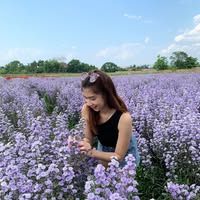 Chaogouy's profile picture