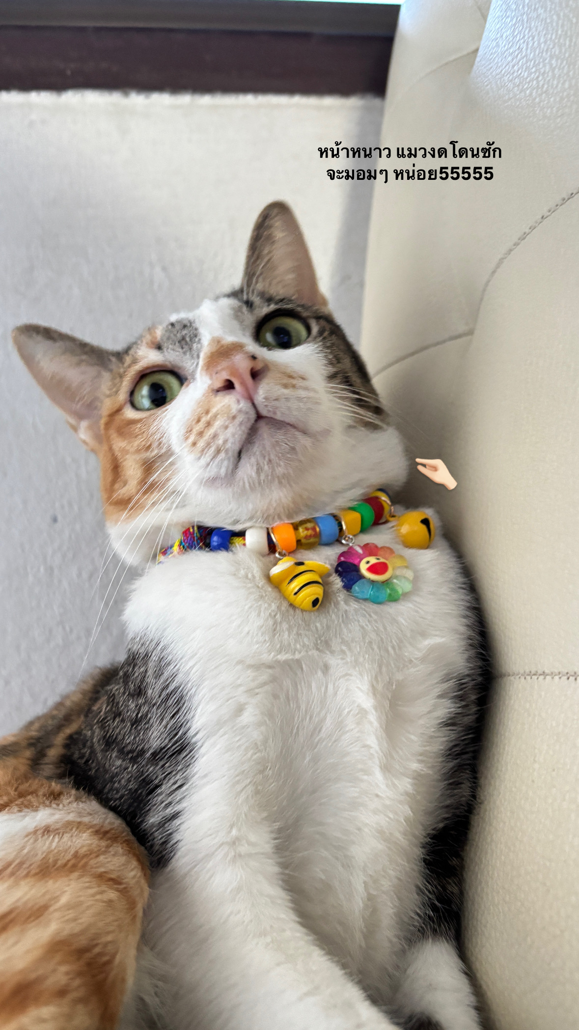 Nampung's profile picture